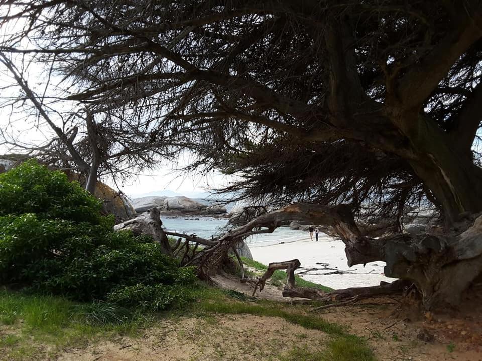 Appartamento Porcupine Walk Simonʼs Town Esterno foto
