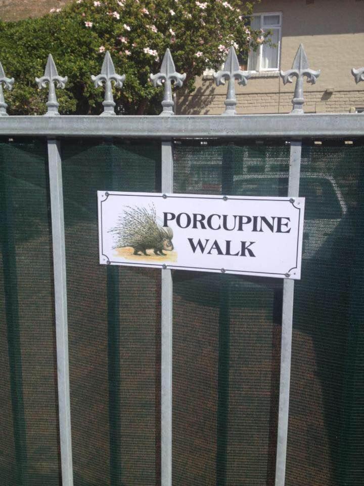 Appartamento Porcupine Walk Simonʼs Town Esterno foto